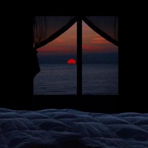 五月天激情网站
